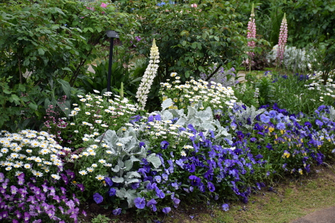 d0099791_02023442.jpg