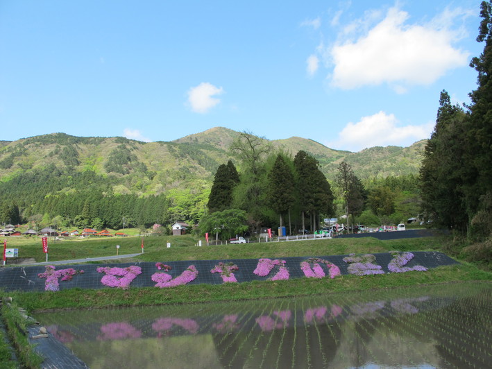 関西・中国・四国・九州の山 (日本登山大系 10)