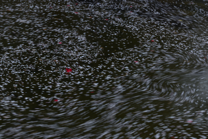 d0363399_17483891.jpg