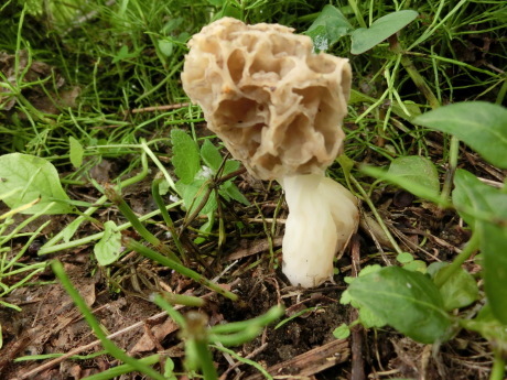 a0203003_18424818.jpg