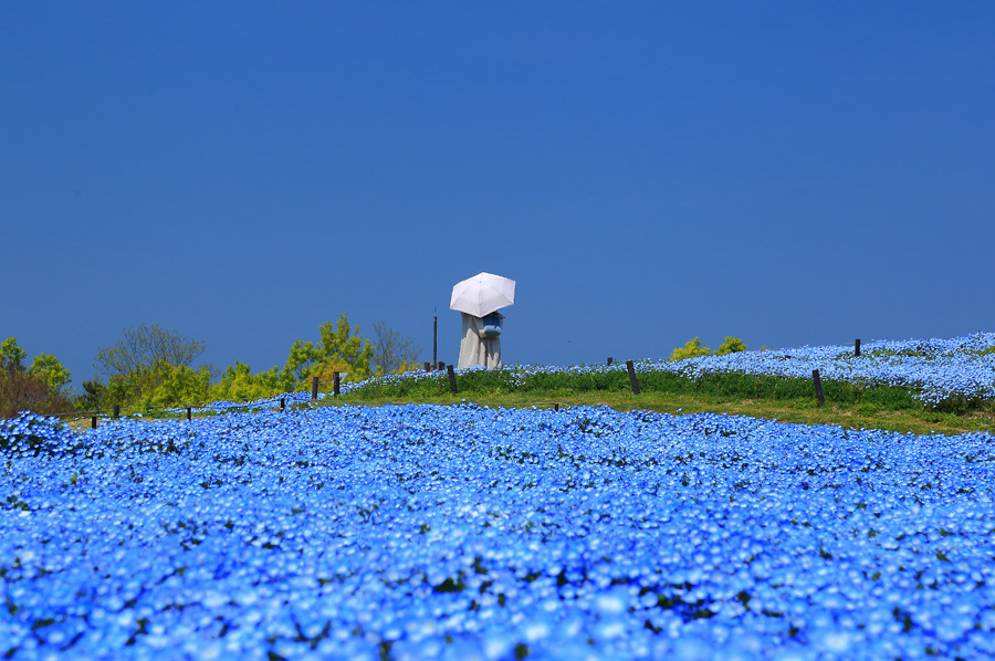 e0093903_17383491.jpg