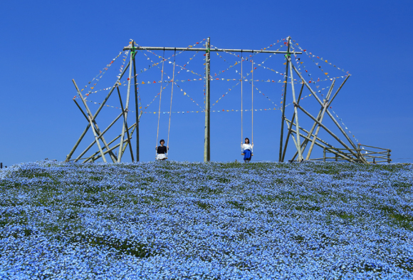 e0093903_17384068.jpg