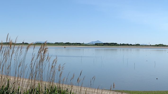 渡良瀬川沿いサイクリング_f0296312_21441029.jpg