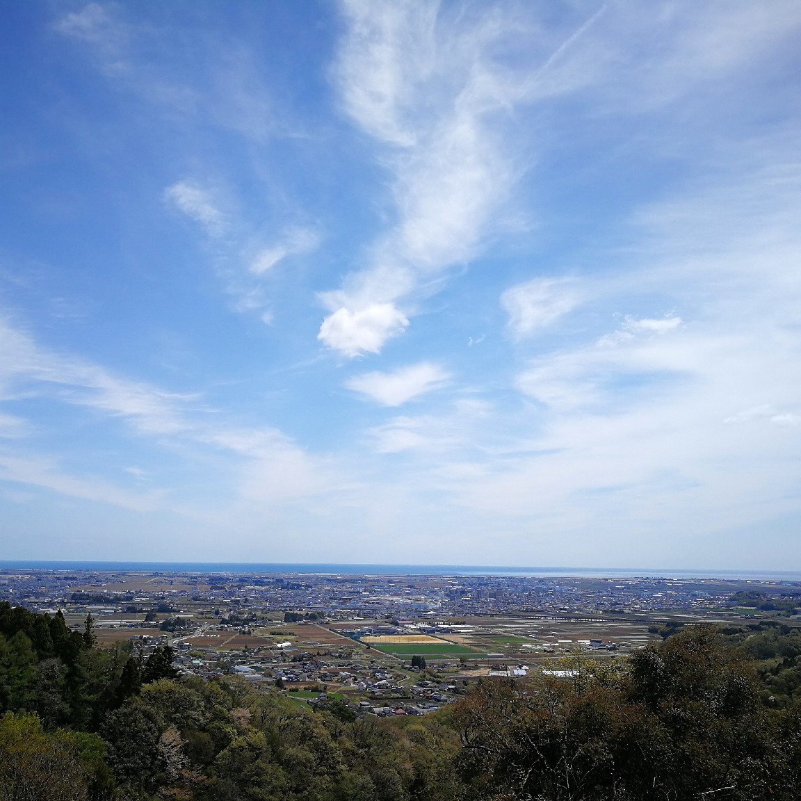 c0025422_16032607.jpg