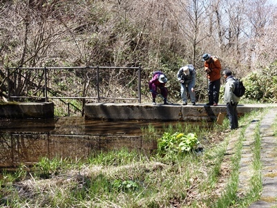 c0204725_10075662.jpg