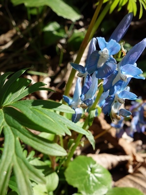 c0204725_10142676.jpg