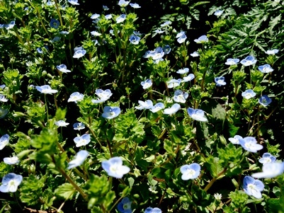 c0204725_10292254.jpg