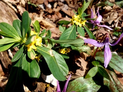 c0204725_10324136.jpg