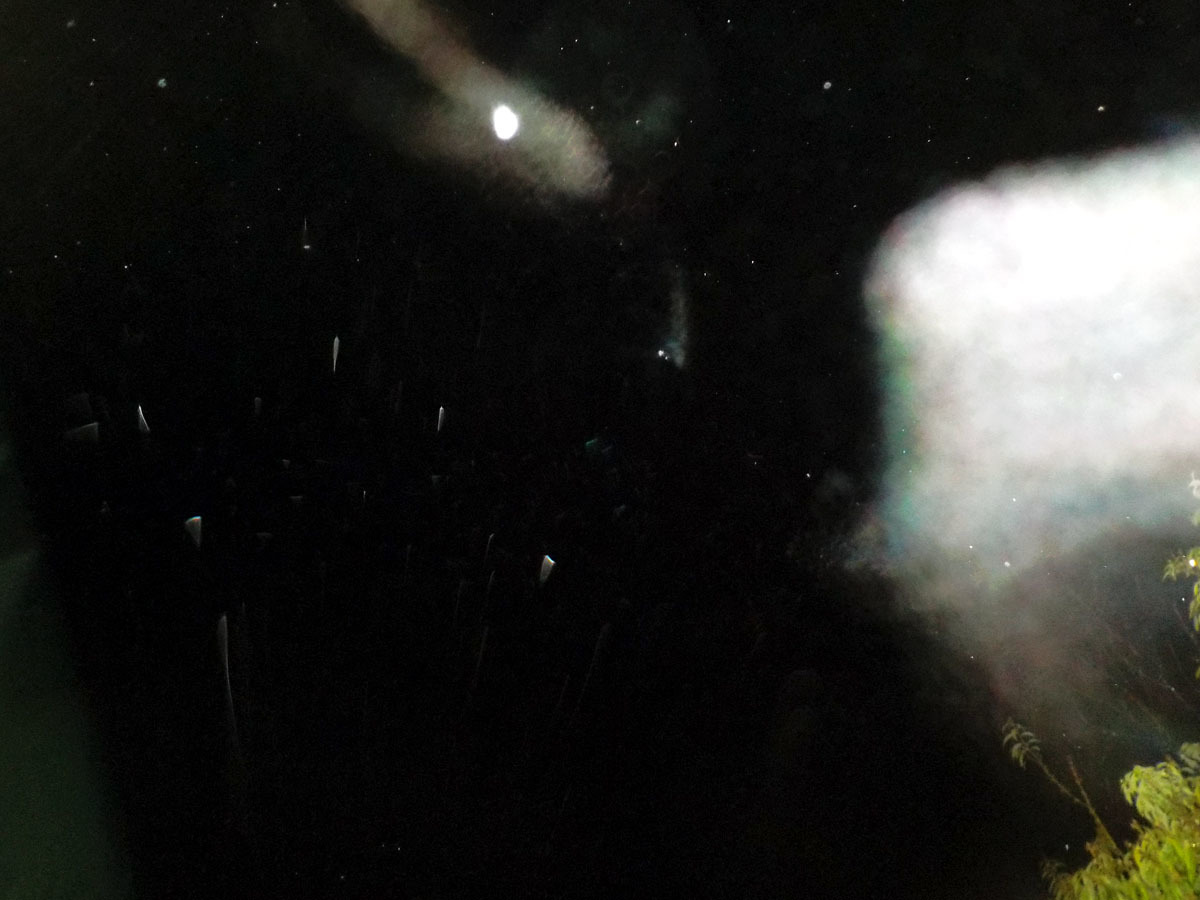 c0331825_13351775.jpg