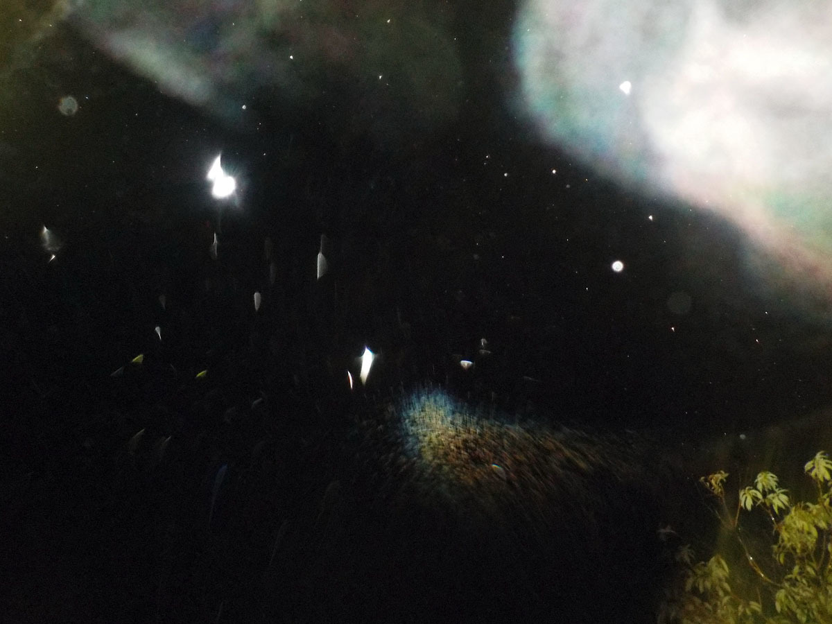 c0331825_22275461.jpg