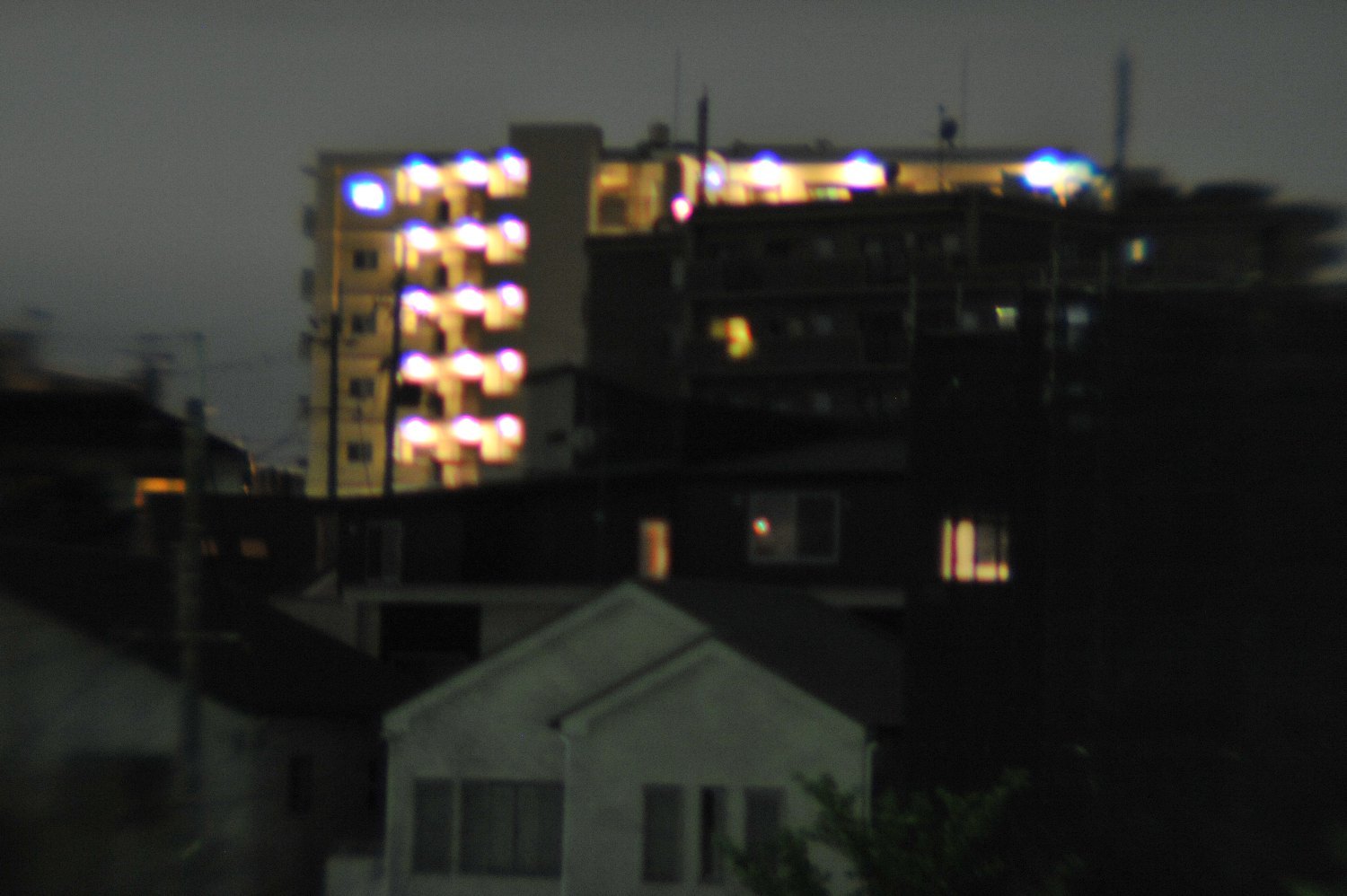 b0069128_22122694.jpg
