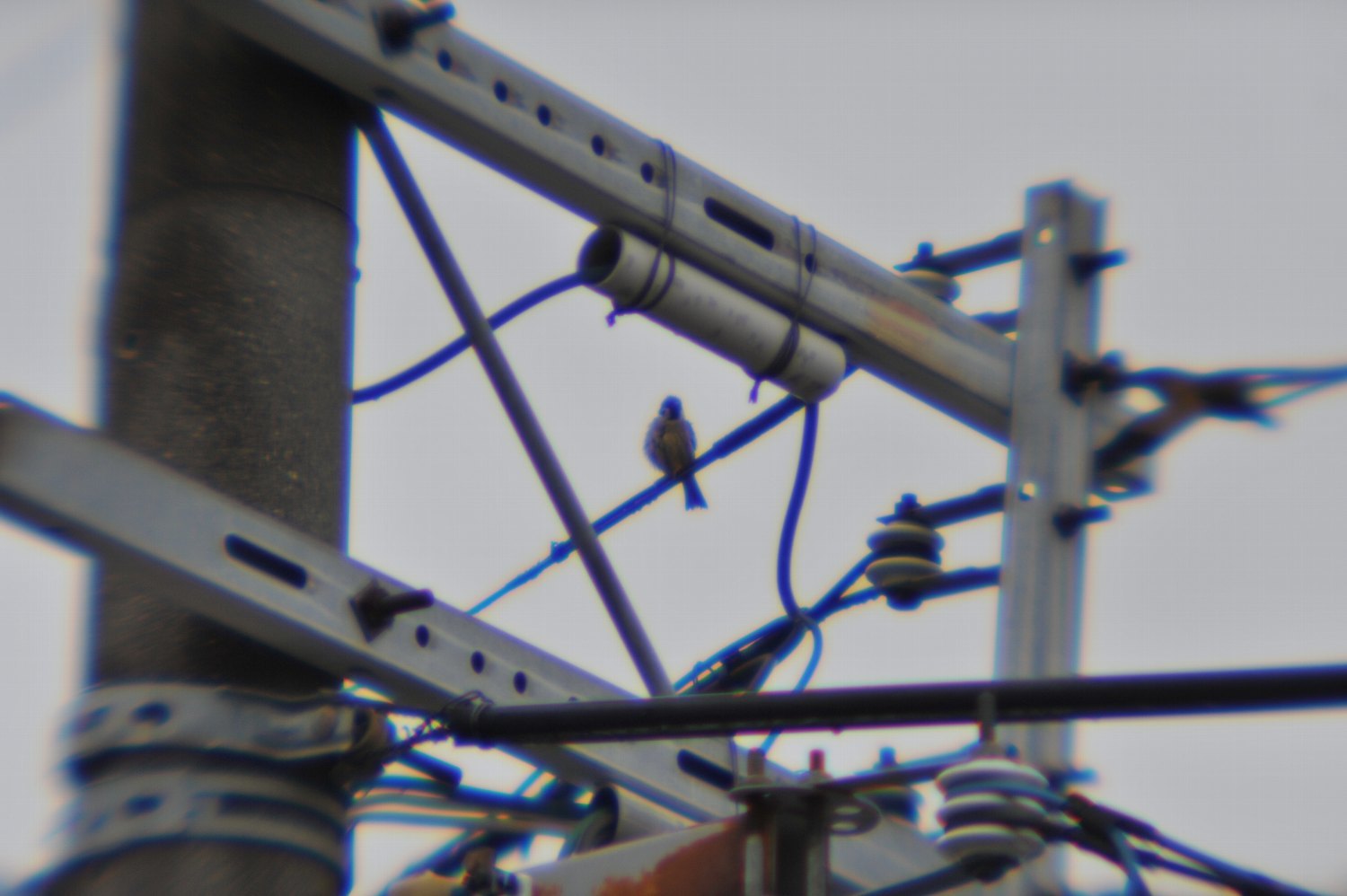 b0069128_22123119.jpg
