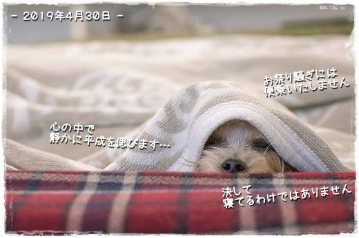 d0179828_13340920.png
