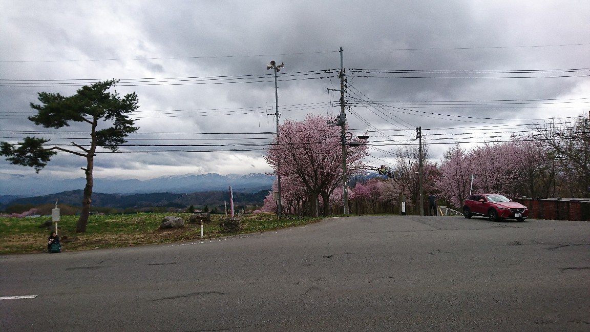 岩木山の桜並木_b0237229_12414161.jpg