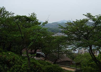 d0146230_20190118.jpg