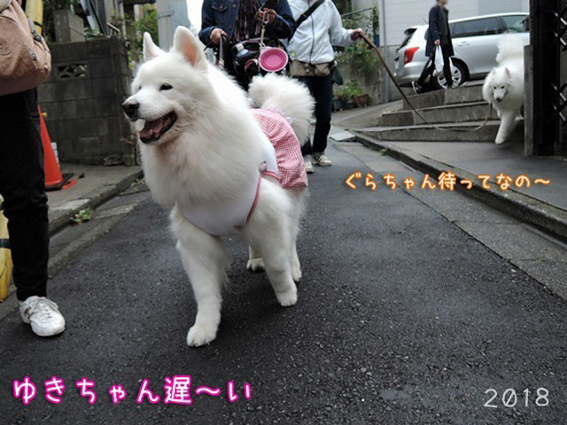平成最後の夜に_c0062832_15454065.jpg
