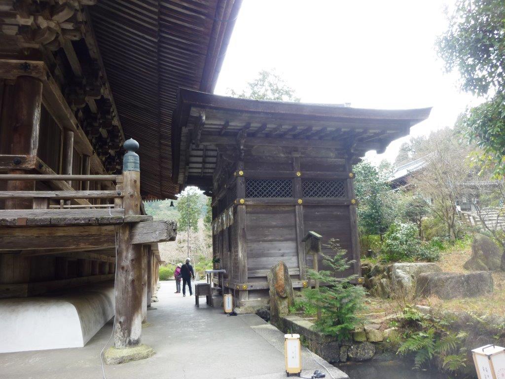 あめんぼ 赤いな アイウエオ ぽつぽつ山レポ ときどき休み ところにより道草 あめんぼ 赤いな アイウエオ ぽつぽつ山レポ ときどき休み ところにより道草