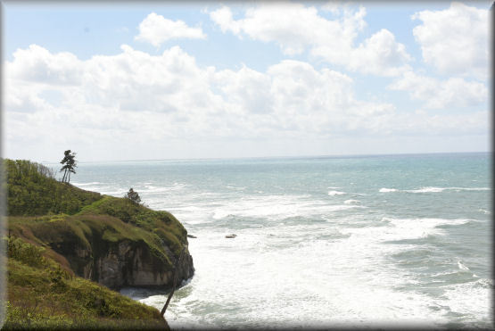 f0363141_16265334.jpg
