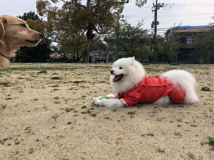 ２０１９年４月後半（平成最後の）　インスタ写真集_f0128542_00274562.jpg