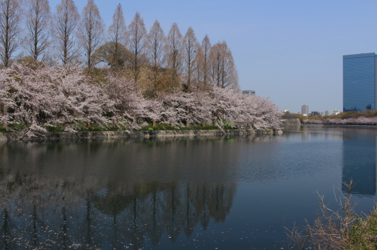 c0303246_20525490.jpg