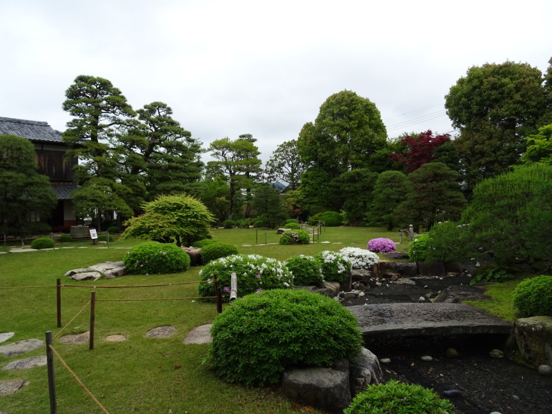 祝　令和_f0101949_12053316.jpg