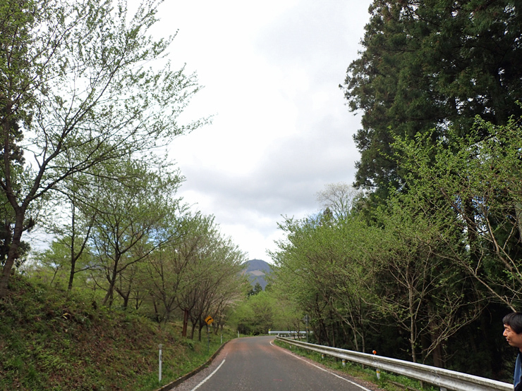 f0214649_00471677.jpg