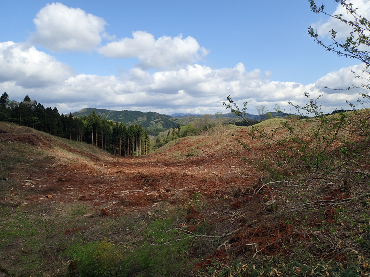 f0214649_00475674.jpg