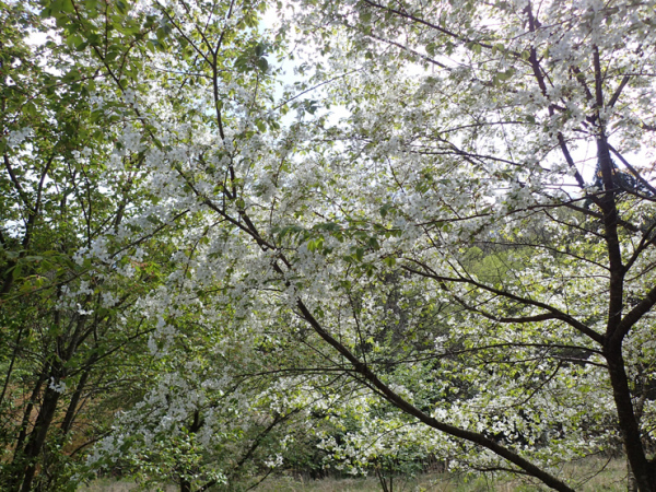 f0214649_00480706.jpg