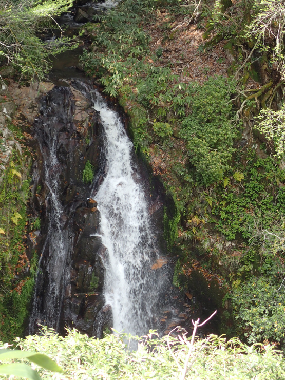 f0214649_10053240.jpg