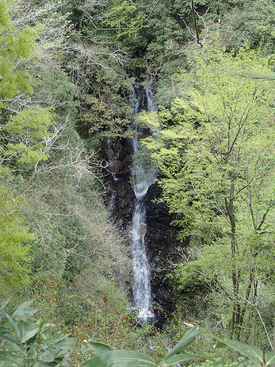 f0214649_10115346.jpg