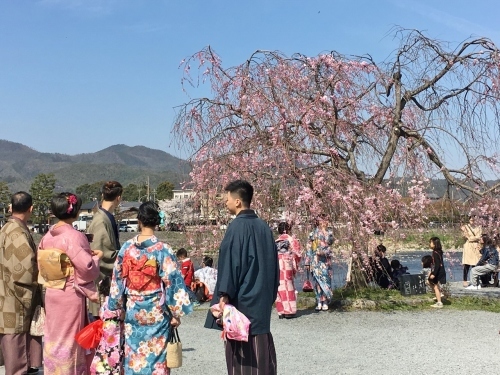 京都の旅\'19Ⅲ　京都桜旅その２_e0326953_22294203.jpg