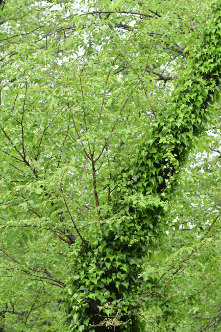 b0183370_21101519.jpg