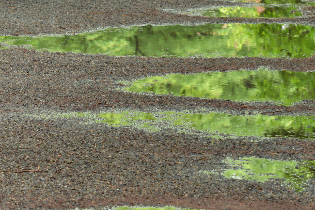 b0183370_21104300.jpg