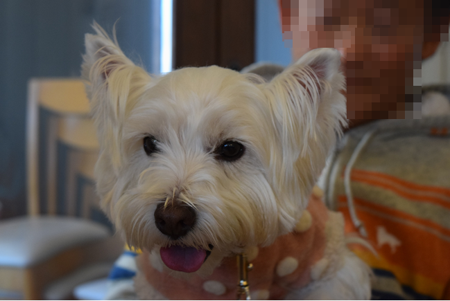 b0242873_01065251.png