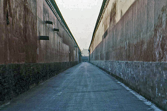 e0116578_17432156.jpg