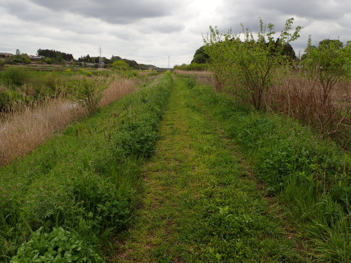 f0348480_17062384.jpg