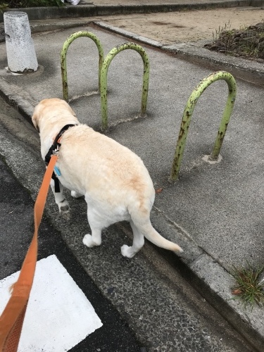 f0315081_21565015.jpeg