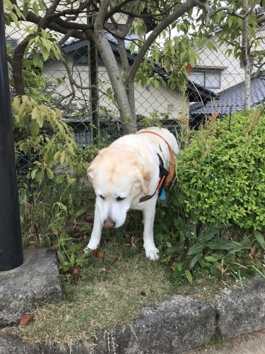 f0315081_21592590.jpeg