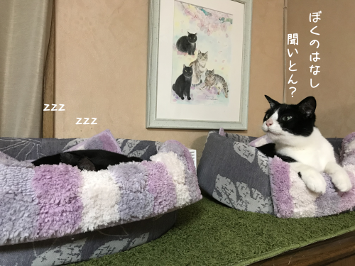 a0216583_23403198.png