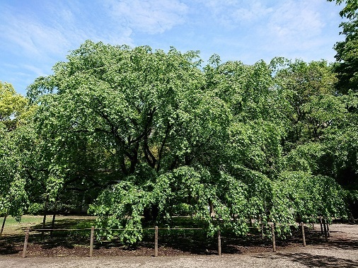 a0264383_19124878.jpg