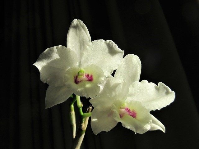 b0182884_21450707.jpg