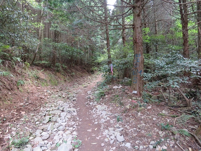 f0357487_19510007.jpg