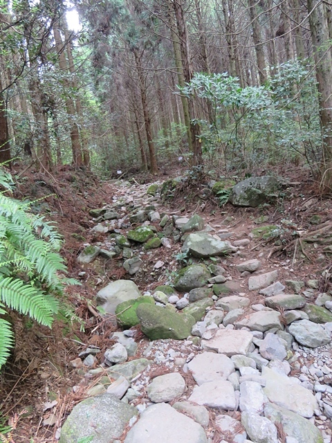 f0357487_20060334.jpg