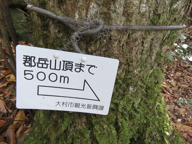 f0357487_20100828.jpg