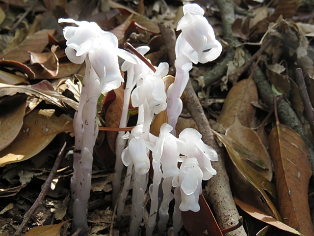 f0357487_20175441.jpg