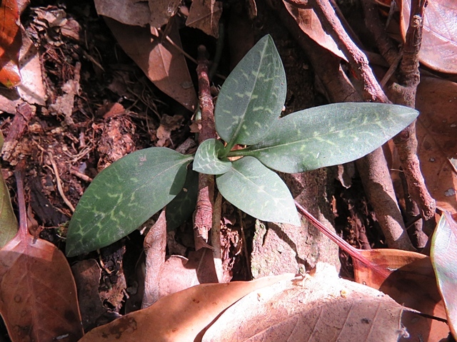 f0357487_20211950.jpg