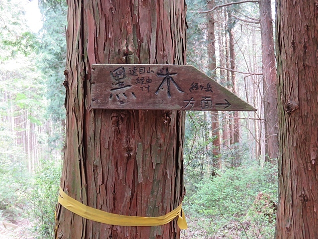 f0357487_20294564.jpg