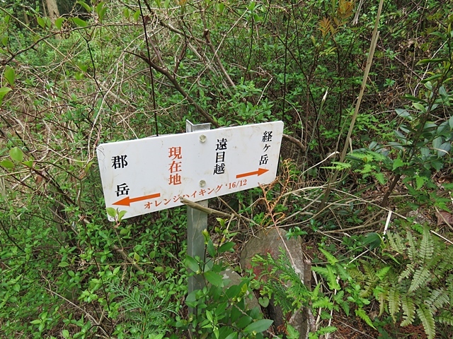 f0357487_20302026.jpg