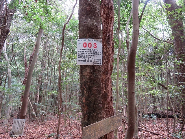 f0357487_20312972.jpg