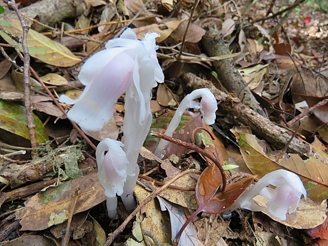 f0357487_20340788.jpg